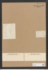 Pleurostauron parvulum (Jan.) Grun. (de-Toni-Nr.: Genus 7, Species 971) Zeichnungen Sammlung Grunow Nr. 1842 (NHMW-BOT-W0368775)